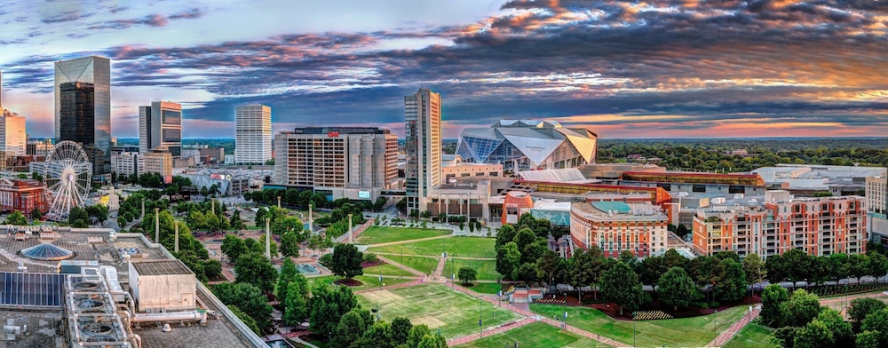 Embassy Suites by Hilton Atlanta at Centennial Olympic Park - photo 84