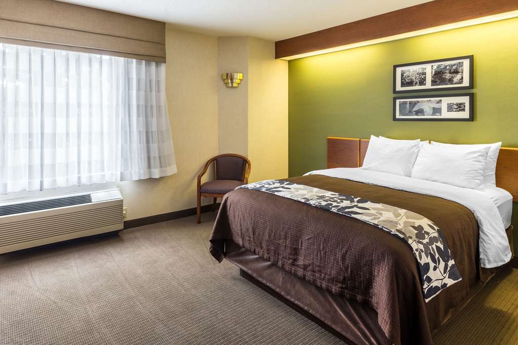 Sleep Inn & Suites Bay View Acme Travers City - photo 15