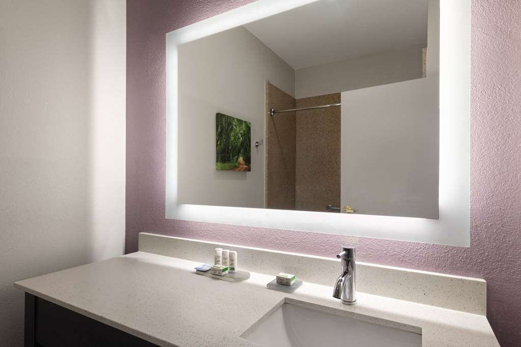 La Quinta Inn & Suites by Wyndham Snellville Stone Mountain - photo 20