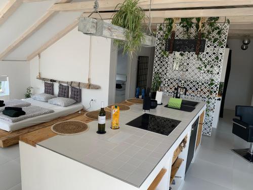 Apartment Pampas — 4-Star Luxury Hotel in Sveti Filip I Jakov, Croatia