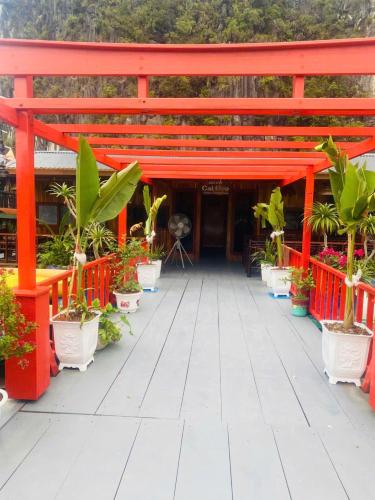 Eco Floating Stay Cai Beo in Cat Ba, Vietnam