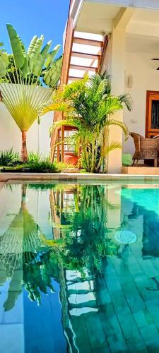 Green Banana in Gili Trawangan, Indonesia