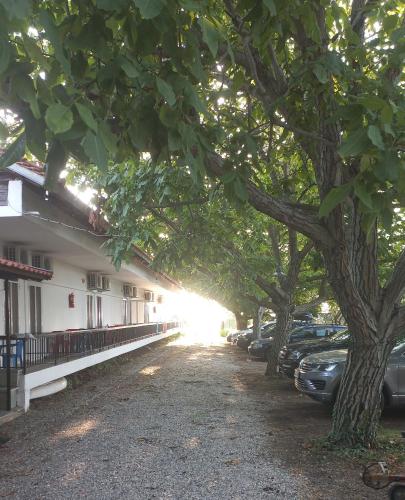 PydnaRooms — Unknown City — photo 4
