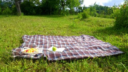 Country House Uliana