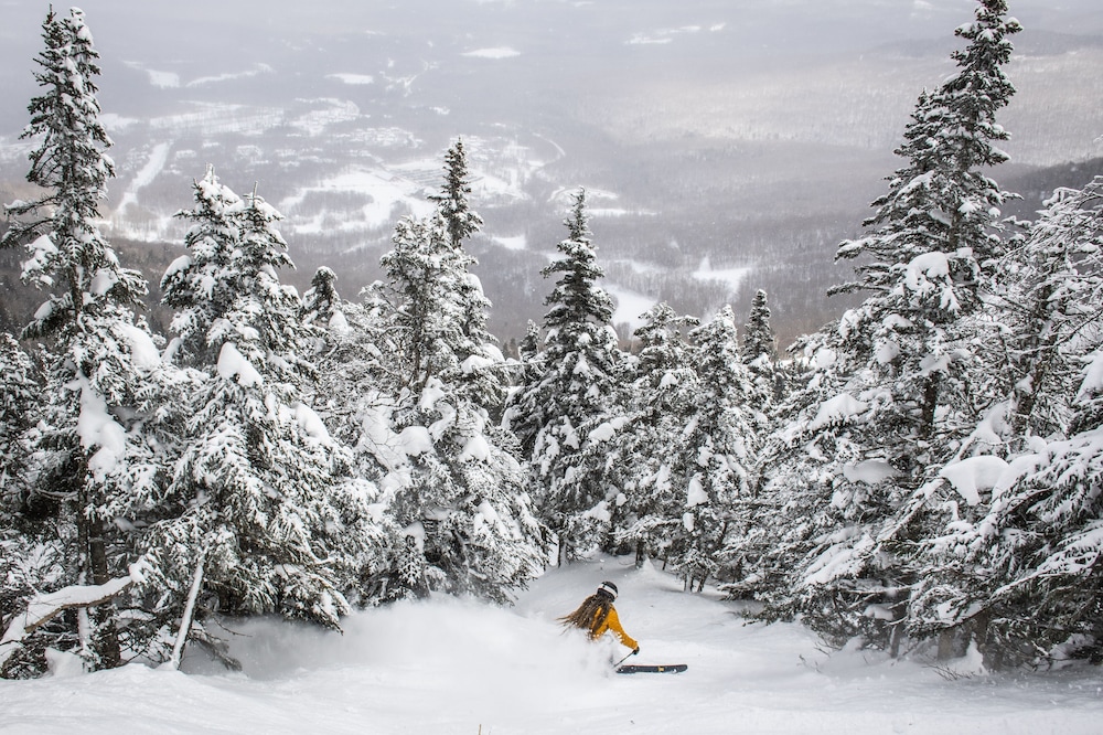 Jay Peak Resort - photo 59