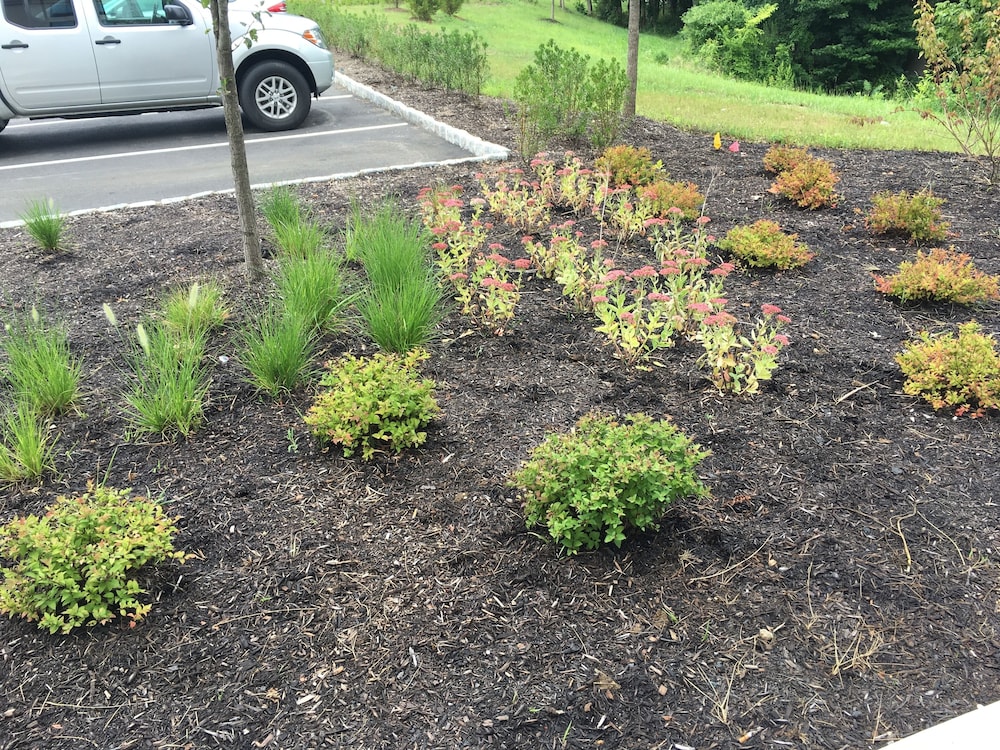 Holiday Inn Express Bordentown Trenton South by IHG - photo 33