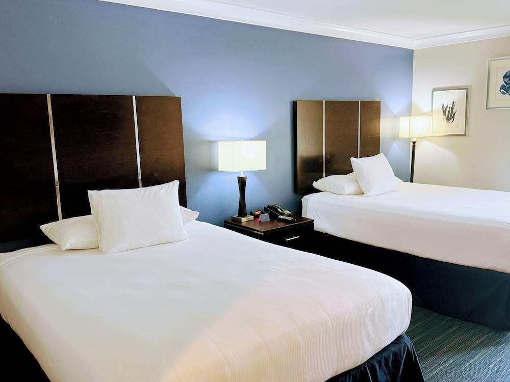 The Pacific Inn - photo 5