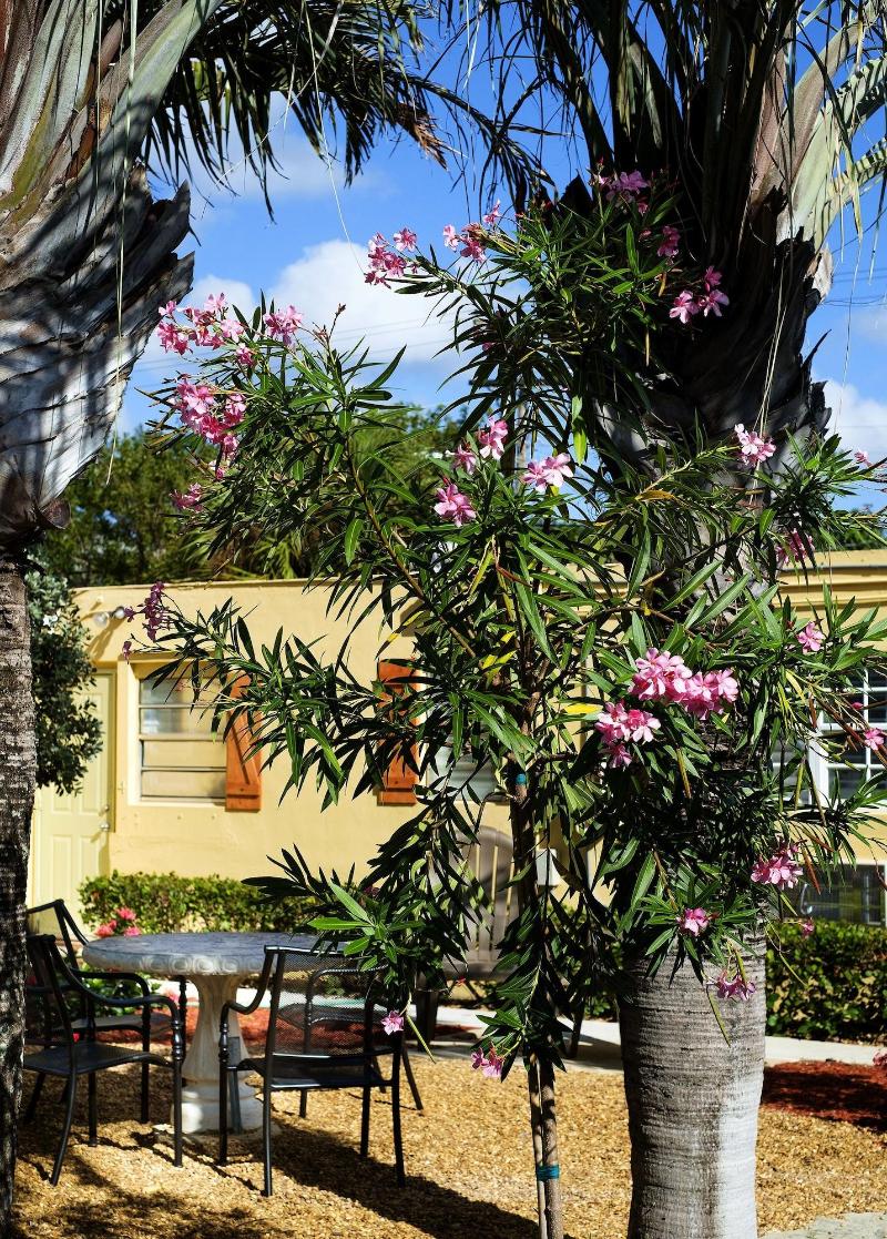 Atlantic Hideaway — Delray Beach — photo 3