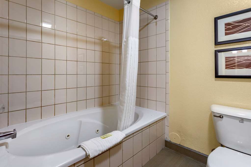 Comfort Inn & Suites North Aurora Naperville - photo 22