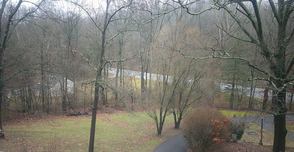 Lil Black Bear Inn - photo 146