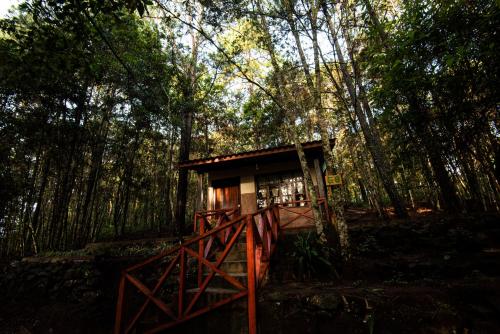 Cotan Ecolodge — La Esperanza — photo 3