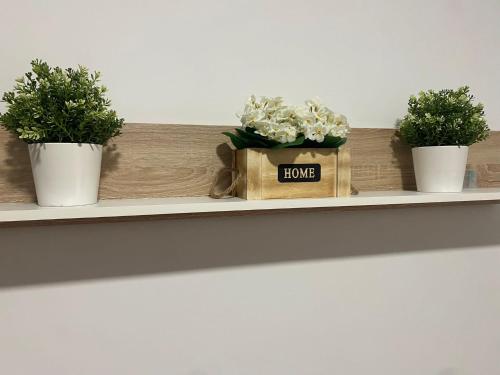 Mateos in Murcia, Spain