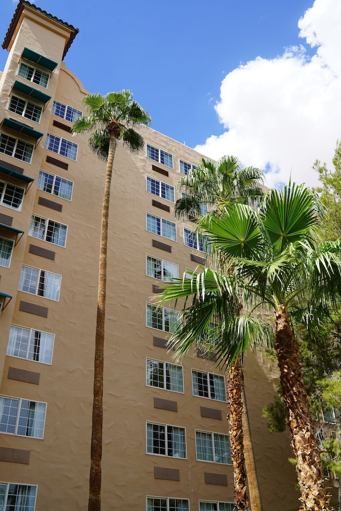CasaBlanca Resort and Casino - photo 42