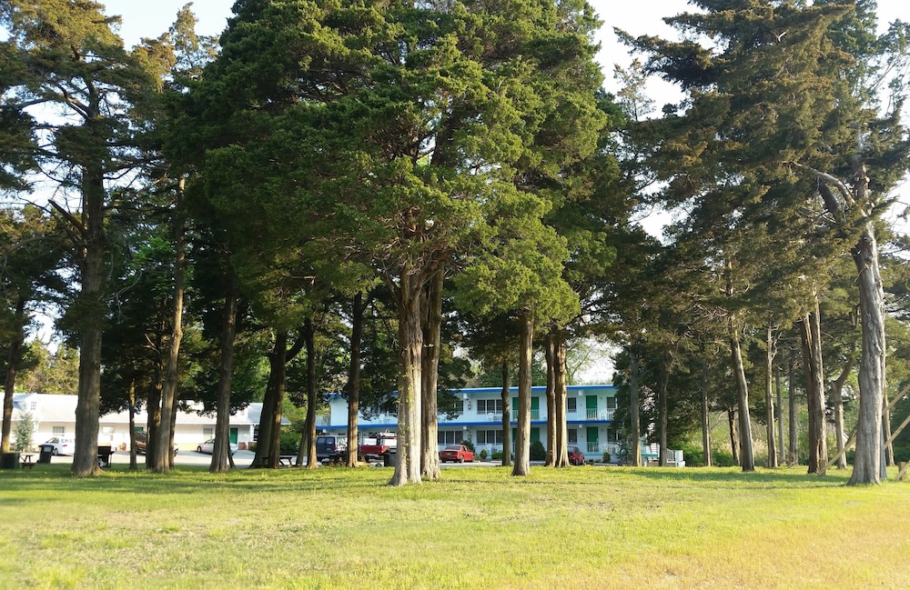 Hyland Motor Inn - photo 32
