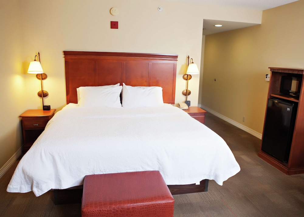 Hampton Inn Martin - photo 25
