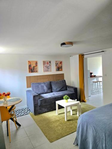 Grand Studio Cosy Proche Paris — hotel in Epinay-Sur-Seine