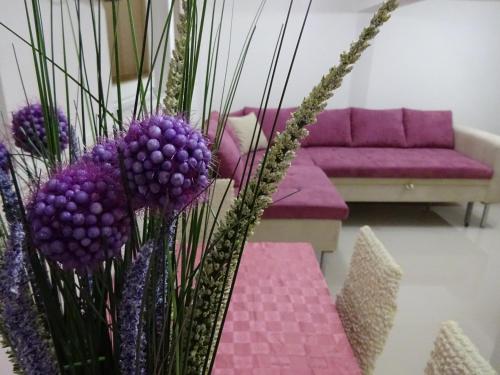 Jasmin White Apartment — 4-Star Luxury Hotel in Skopje, Republic of Macedonia