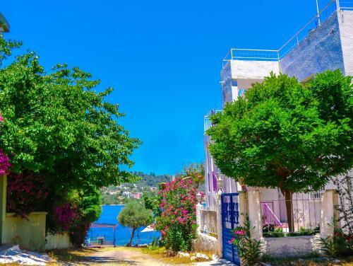 Hayal Pansiyon in Milas, Turkey