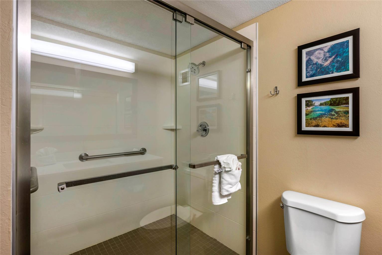 Comfort Inn Ocala Silver Springs - photo 23