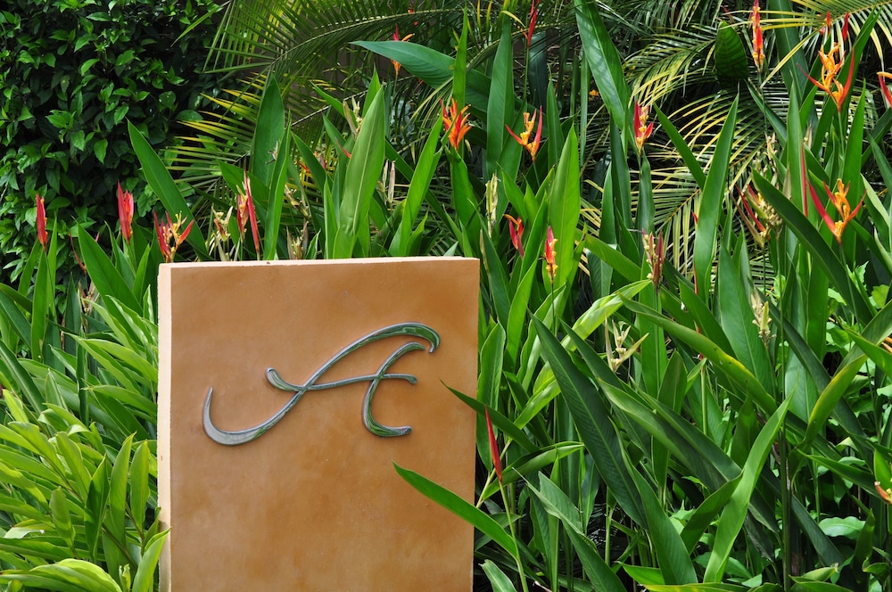 Alma Del Pacifico Beach Hotel & Spa — Parrita — photo 3