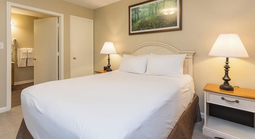 Massanutten Resort - photo 19