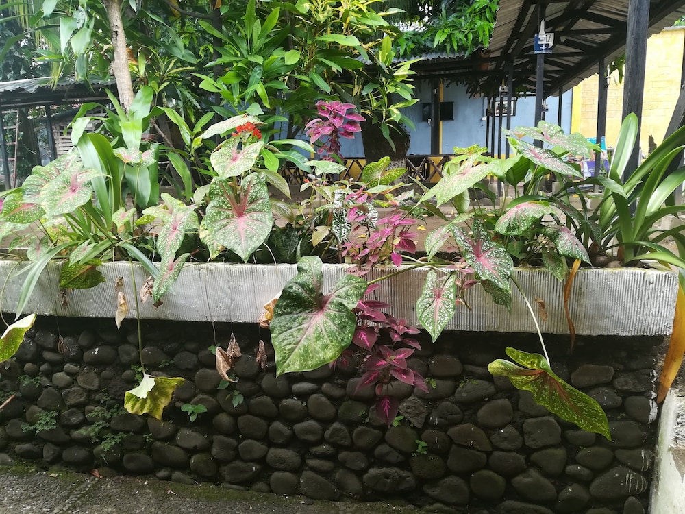 Hotel y Restaurante Paradise in San Antonio Suchitepequez, Guatemala