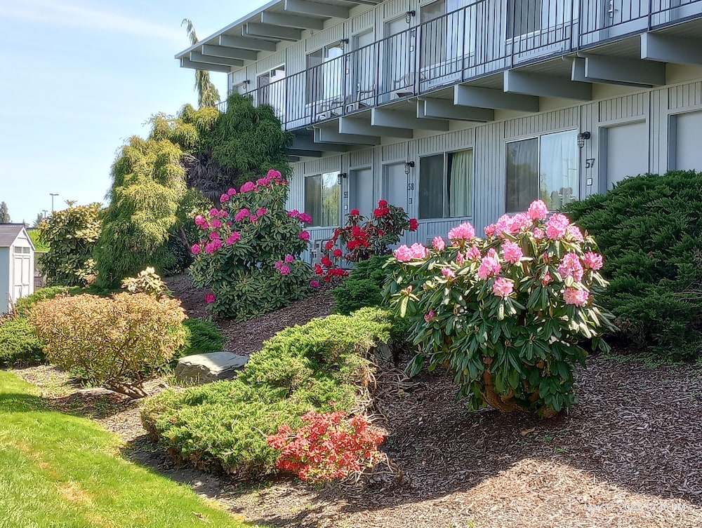 Cocusa Motel - photo 126