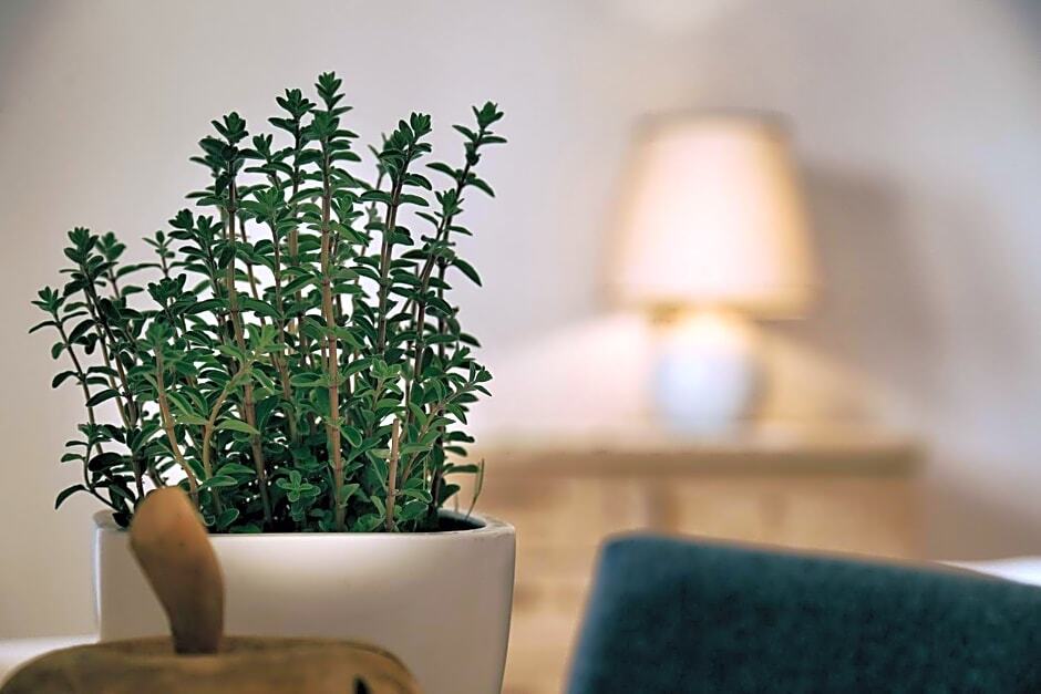 Garni Oberanger in Tirolo, Italy