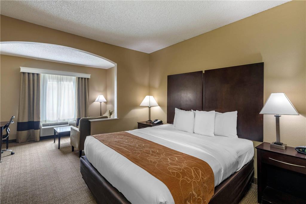 Comfort Suites The Colony Plano West - photo 17