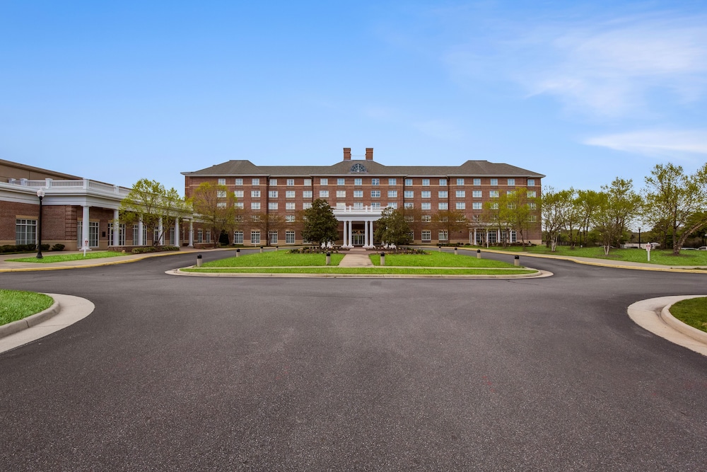 Hilton Garden Inn Suffolk Riverfront - photo 68