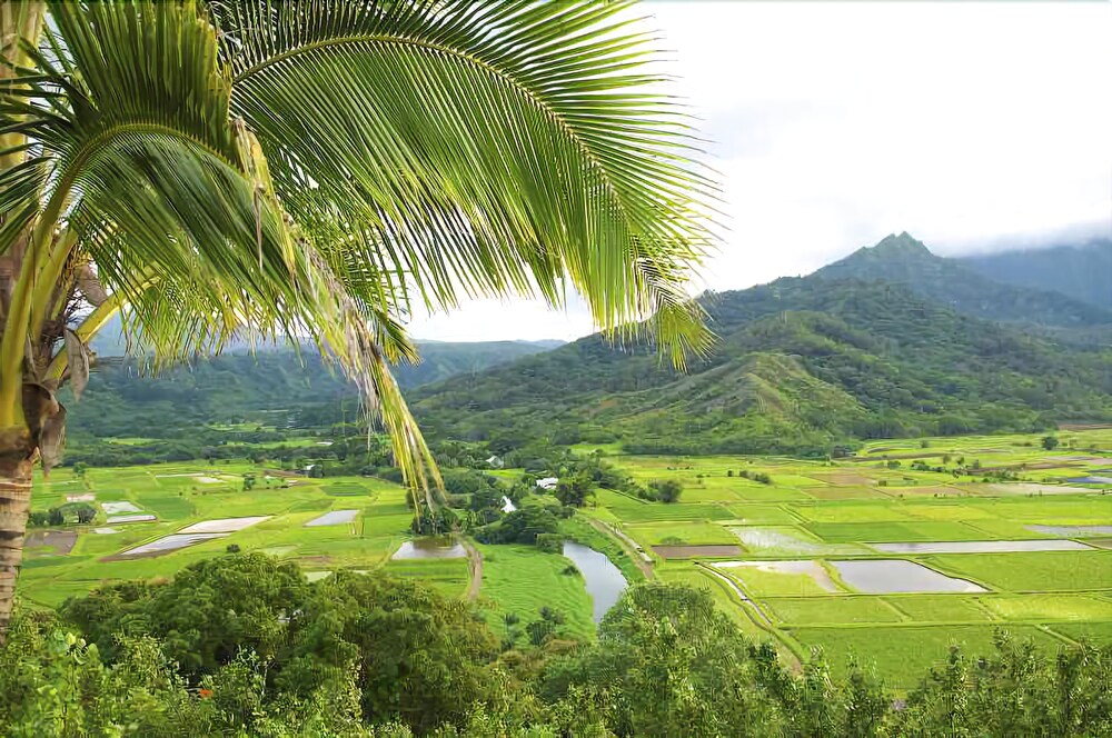 Waipouli Beach Resort D204 by RedAwning - photo 21