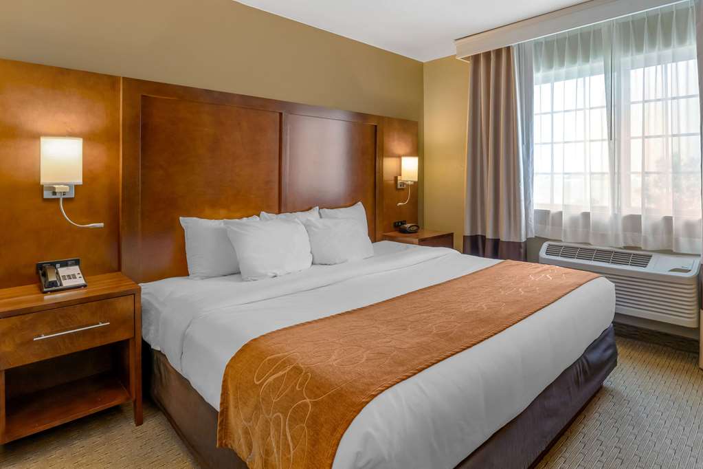 Comfort Suites Burlington - photo 13