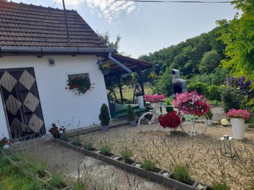Casa Teonia — Tasnad — photo 4