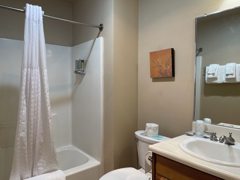 Mount Shasta Resort - photo 41