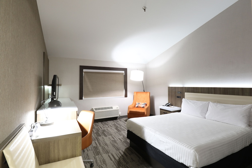 Modesto Hotel - photo 12