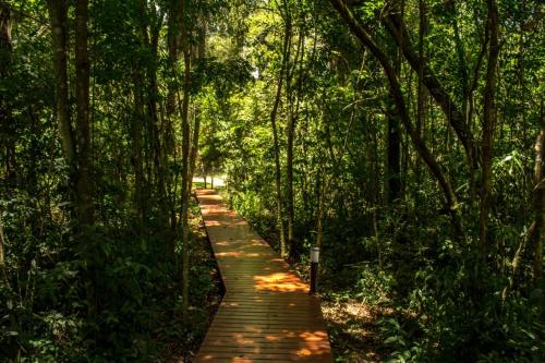 Momora Distrito Selva — Santa Ana