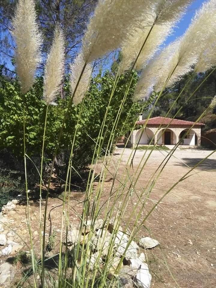 Casas Rurales la Tobica — hotel in Yeste