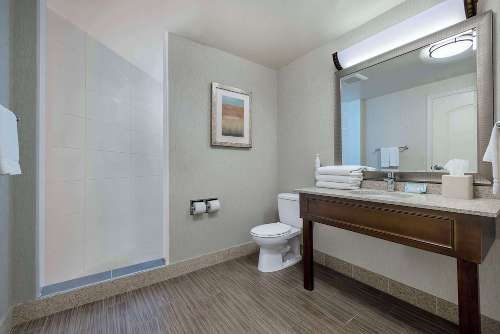 Hilton Garden Inn Boise Spectrum - photo 45