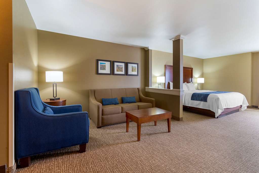 Comfort Inn & Suites Mandan Bismarck - photo 24