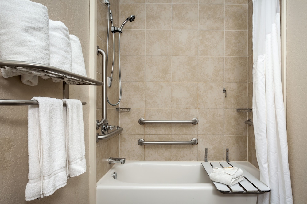 Holiday Inn San Antonio Seaworld by IHG - photo 16