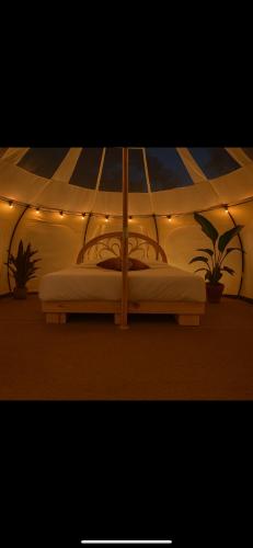 Glampingtelt telt i naturens hjerte - last minute hotel in Unknown City