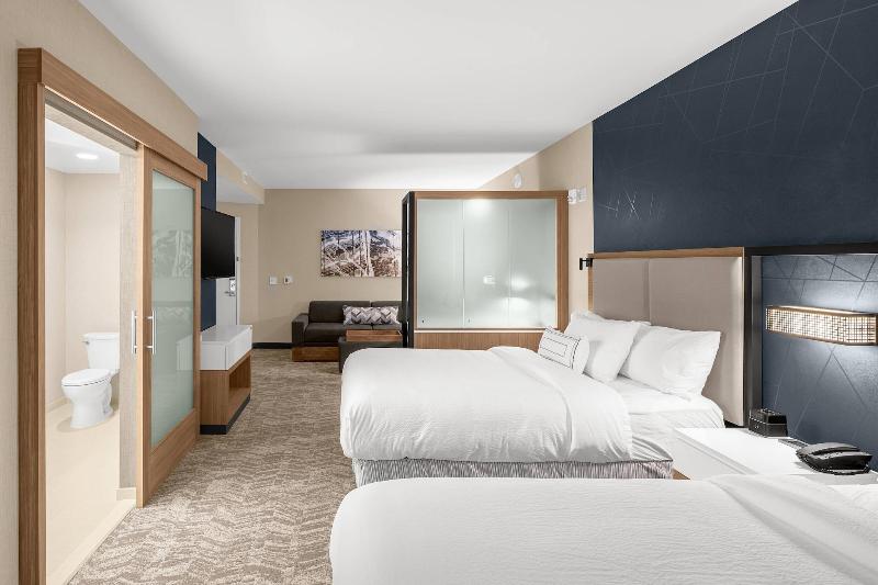SpringHill Suites by Marriott Jackson - photo 17