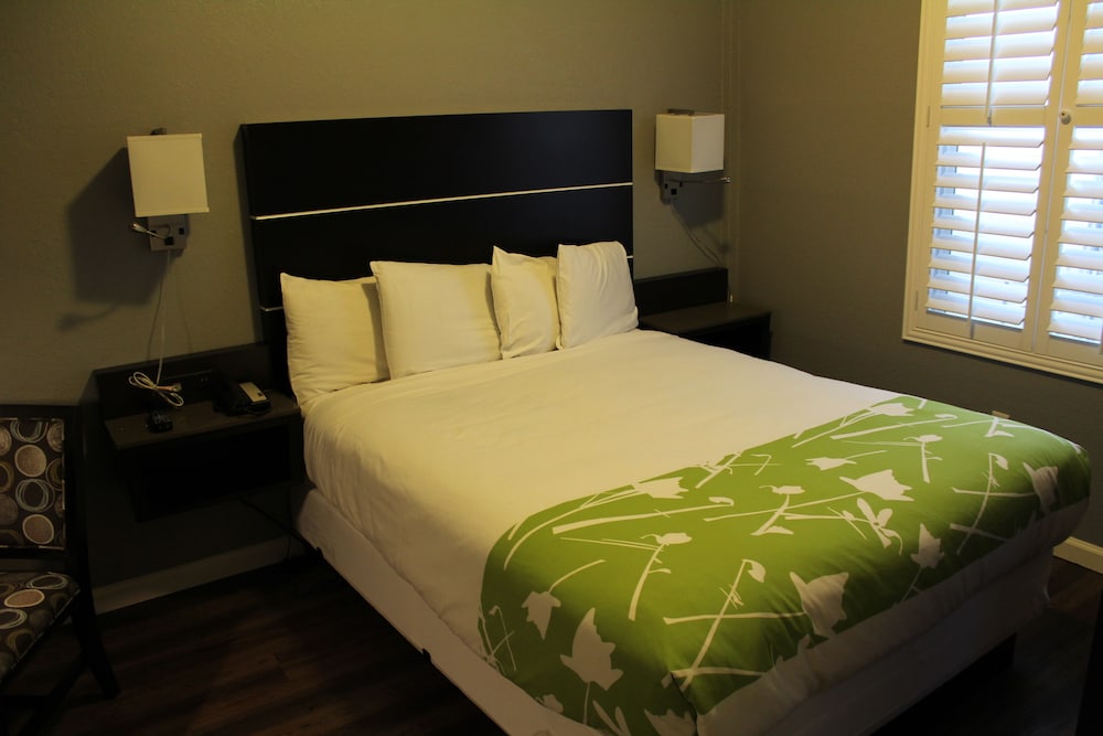 Layne Hotel - photo 8