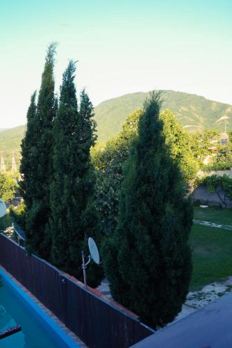 Villa Aragvi