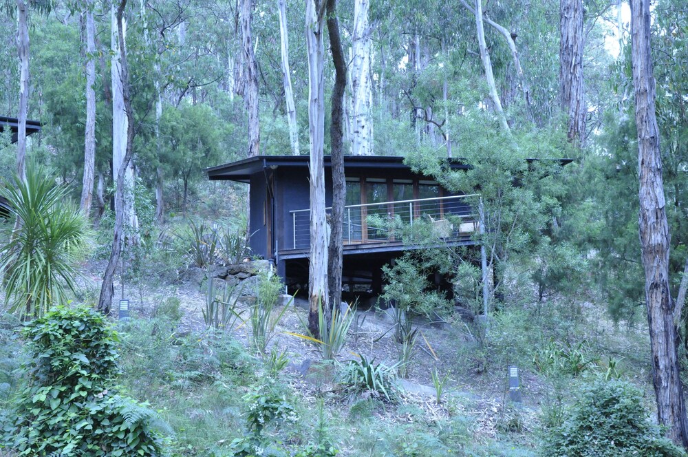 Qdos Arts — Lorne — photo 3