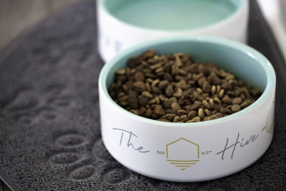The Hive - photo 17