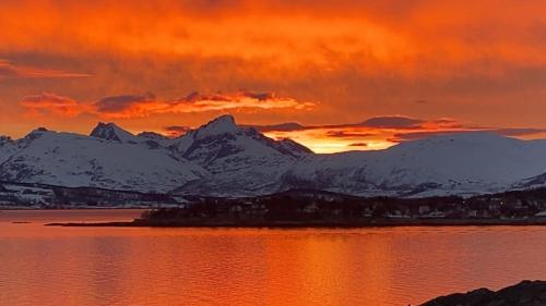 Arctic Home With spectacular view — 4-Star Luxury Hotel in Tromso, Norway