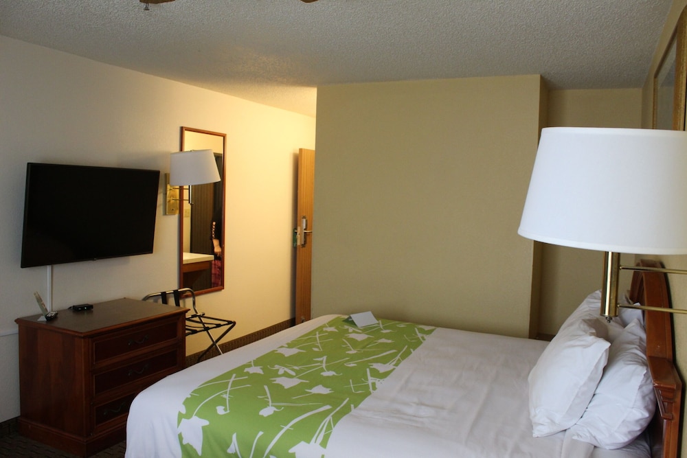 Cheyenne Guest Inn - photo 9