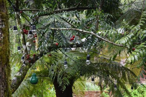 Refúgio Amor Demasiado in Sao Francisco De Paula, Brasil