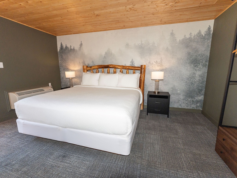 Tremont Lodge & Resort - photo 84